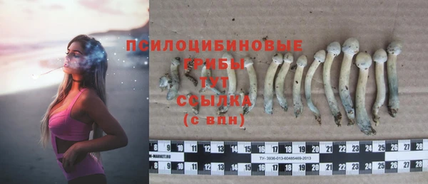 мдма Пестово