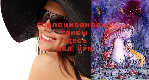 винт Покачи