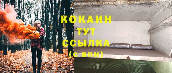 крисы Пересвет