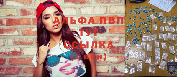 крисы Пересвет